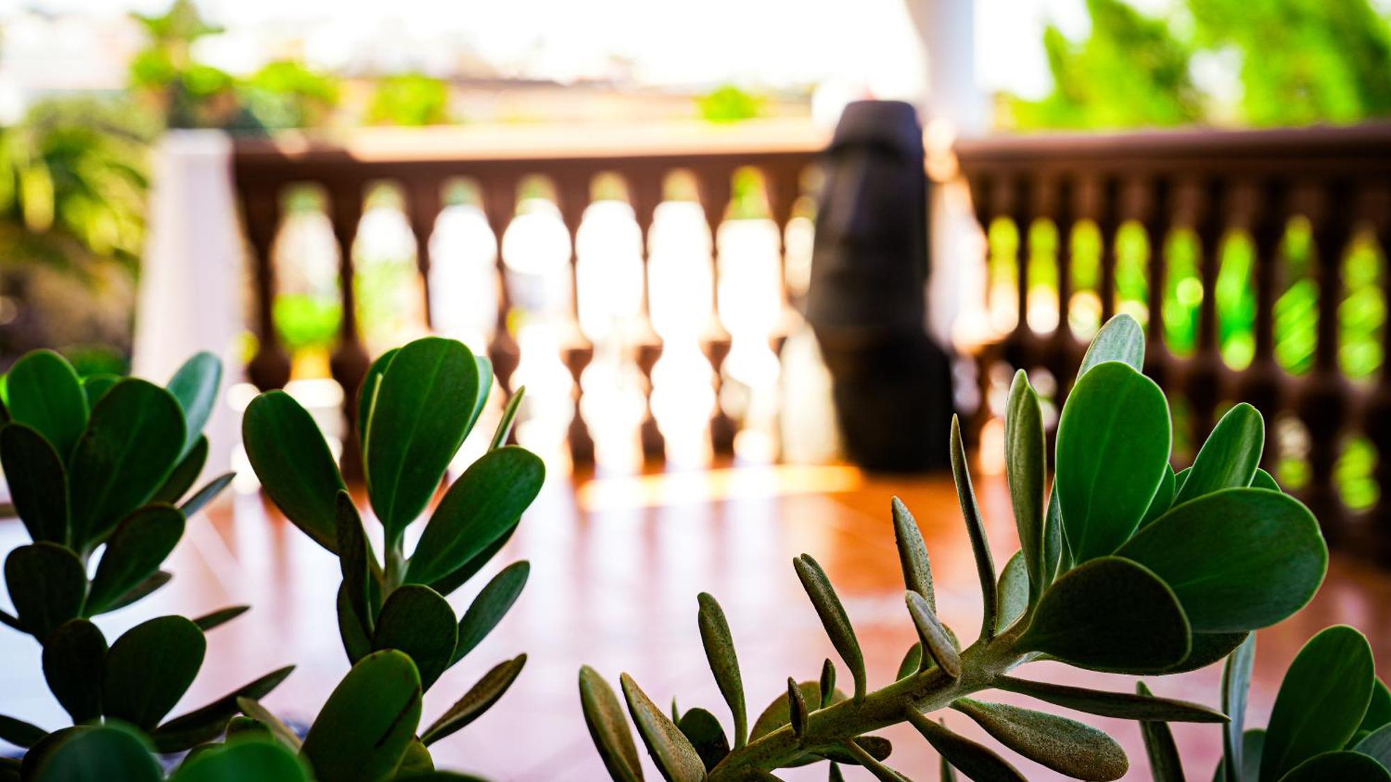 Villa Azul Fuerteventura Villaverde  Ngoại thất bức ảnh