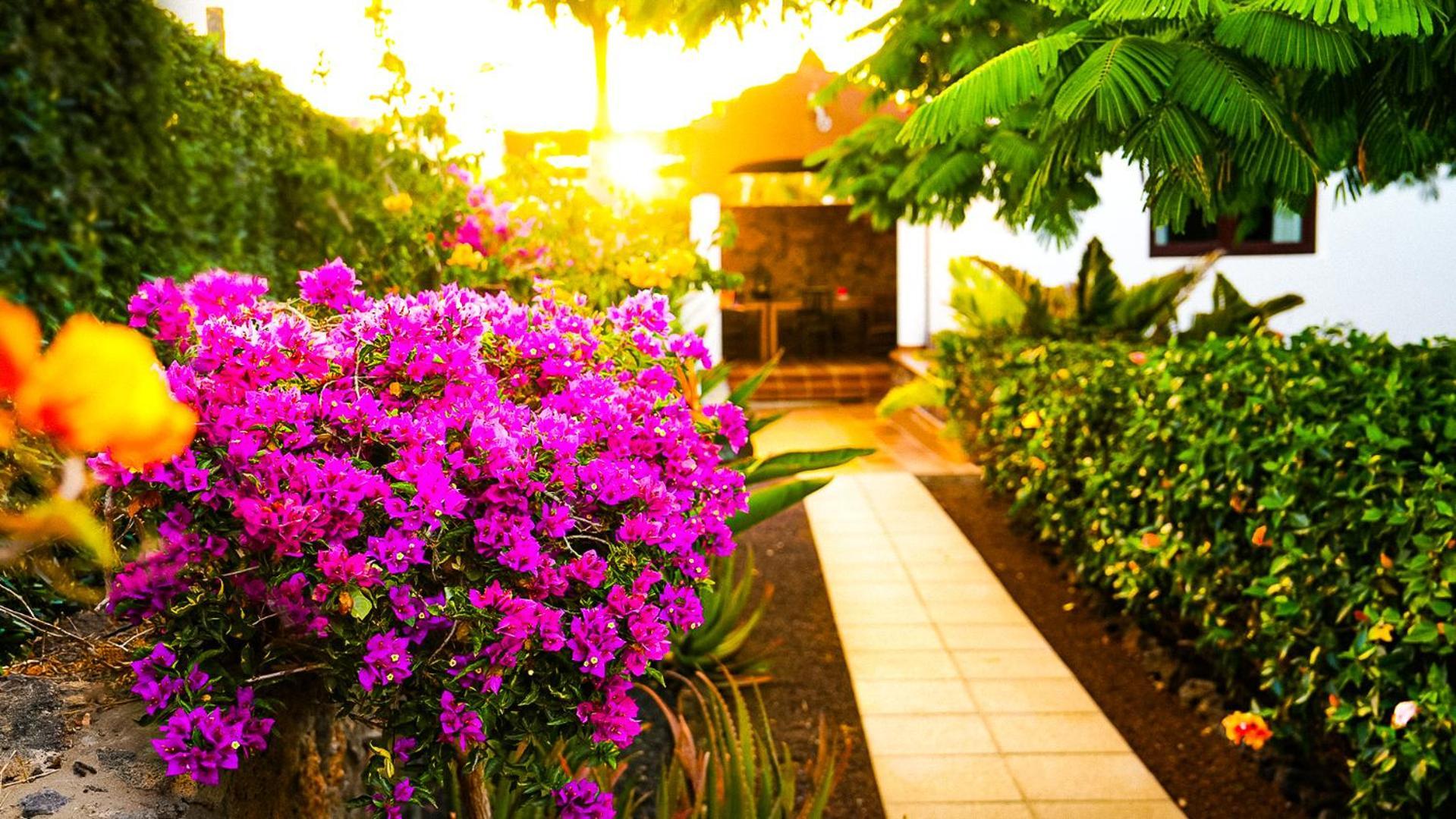 Villa Azul Fuerteventura Villaverde  Ngoại thất bức ảnh
